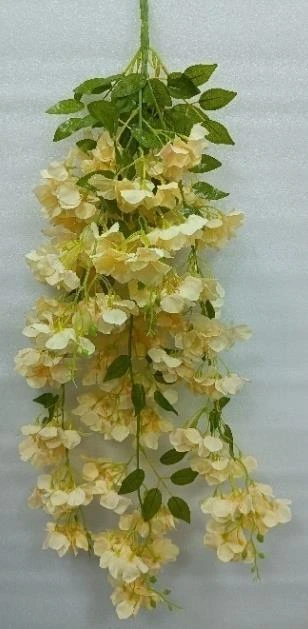 Hydrangea Creeper Small